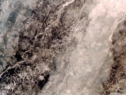 gallery_12